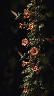 Fine Art Photography Style phone case design example