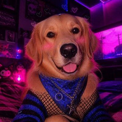 E-Girl Aesthetic pet portrait example