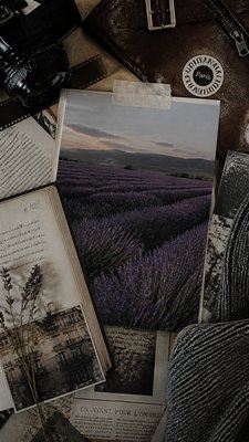 a field of lavender stretching to distant hills at dusk, no people — Downtown Girl Aesthetic wallpaper