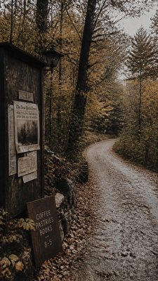 a winding forest path in golden autumn light, no people — Downtown Girl Aesthetic wallpaper