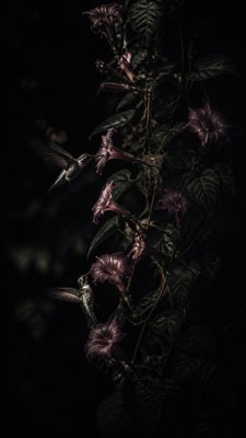 Moody Portrait Photography Style phone case design example