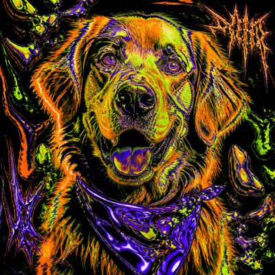 Acid Graphics pet portrait example
