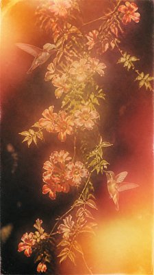 Vintage Film Burn phone case design example