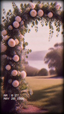 VHS Aesthetic wedding invitation example