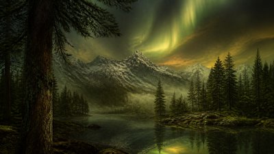 Forest Nature Art banner example