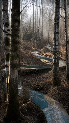 Environmental Art Style wall art print example