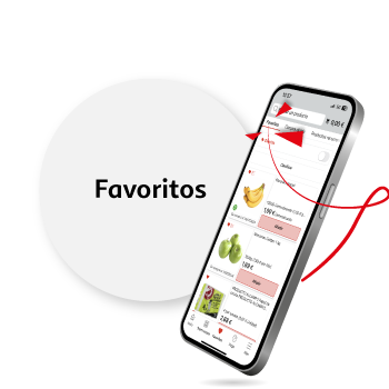 Favoritos