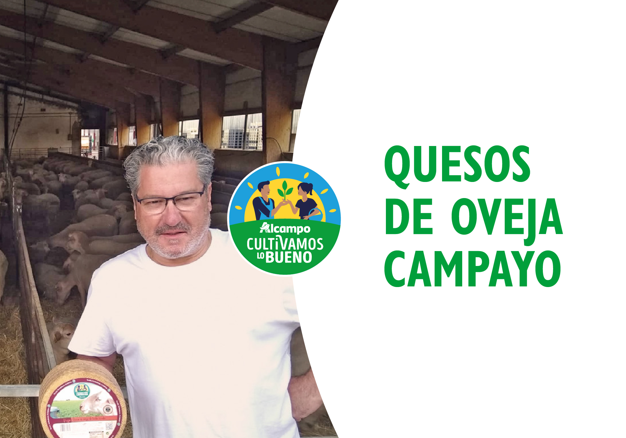 Quesos de oveja Campayo