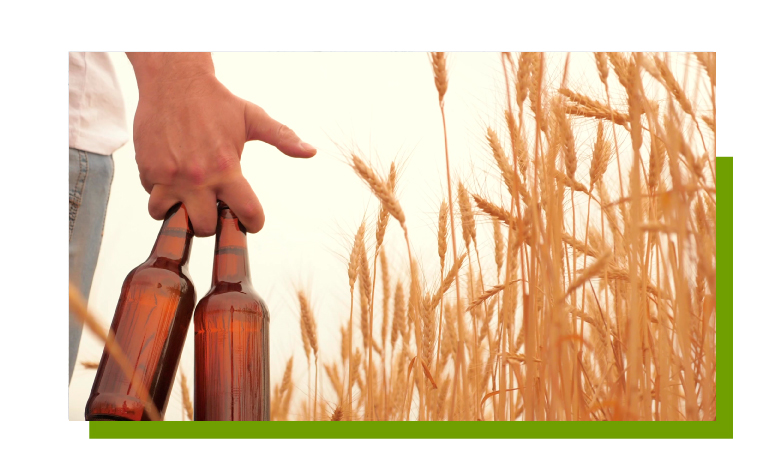 Cervezas ecológicas