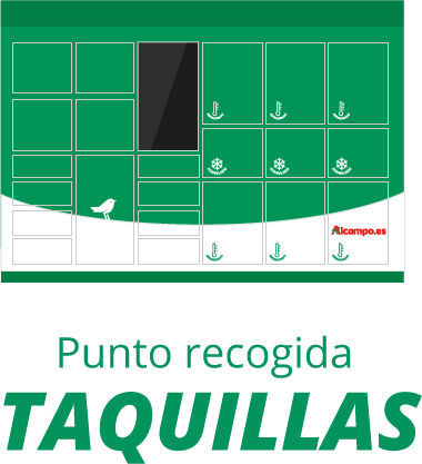 Punto de recogida en taquillas