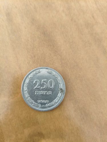250 Pruta Coin
