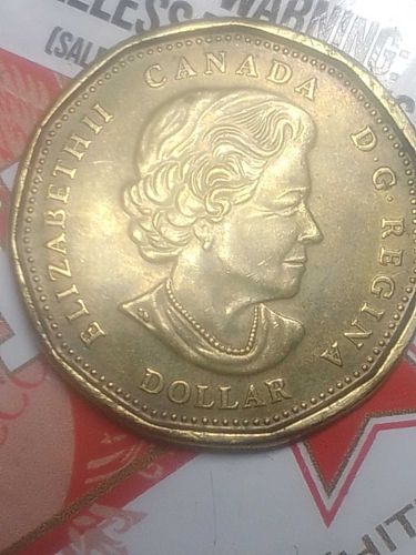 Canadian 1-Dollar 'Loonie'