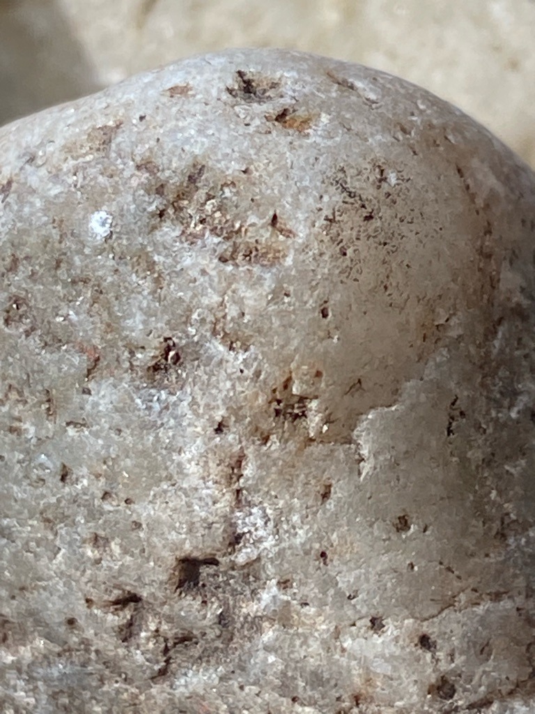 Not a diamond (appears to be a rough quartz pebble, quartzite, or weathered rock formation containing mineral grains) - Irregular / Natural pebble shape