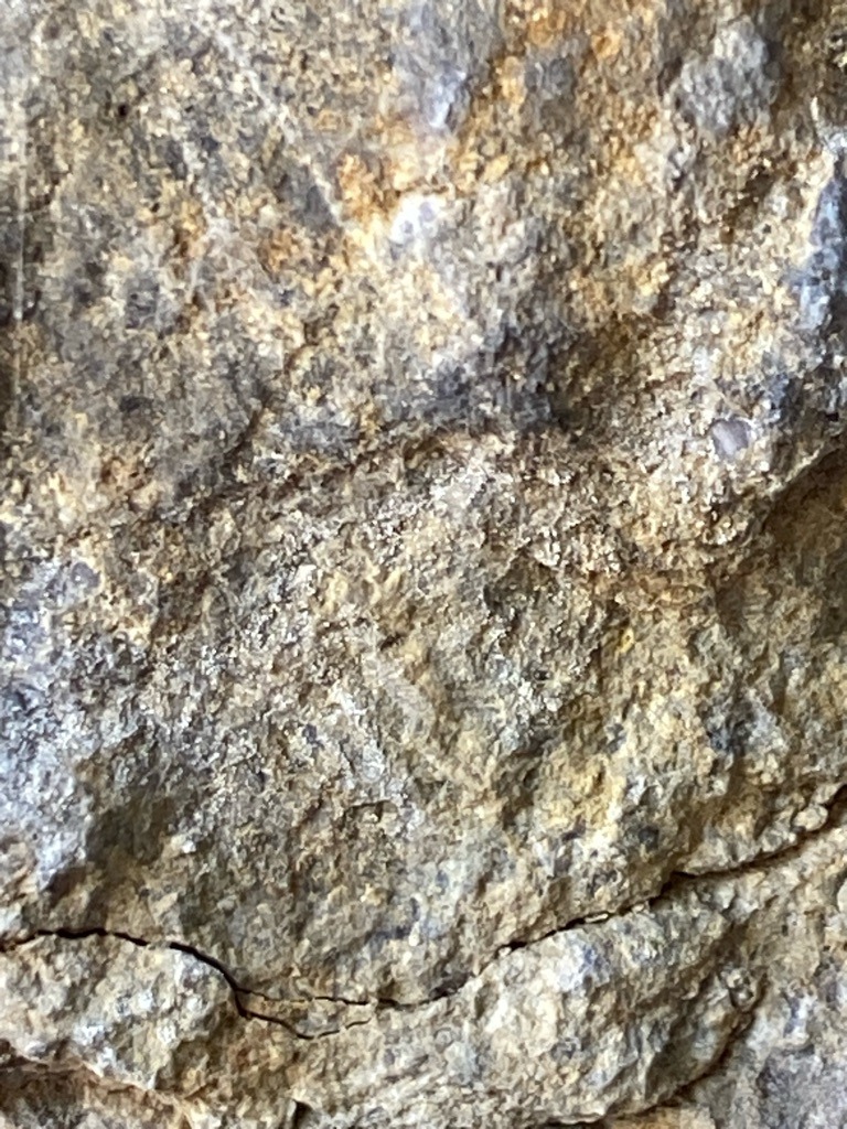 Not Applicable - Image shows rough host rock/matrix, likely Kimberlite or Lamproite containing no visible cut diamond crystals - Not Applicable - Uncut, unpolished rock formation