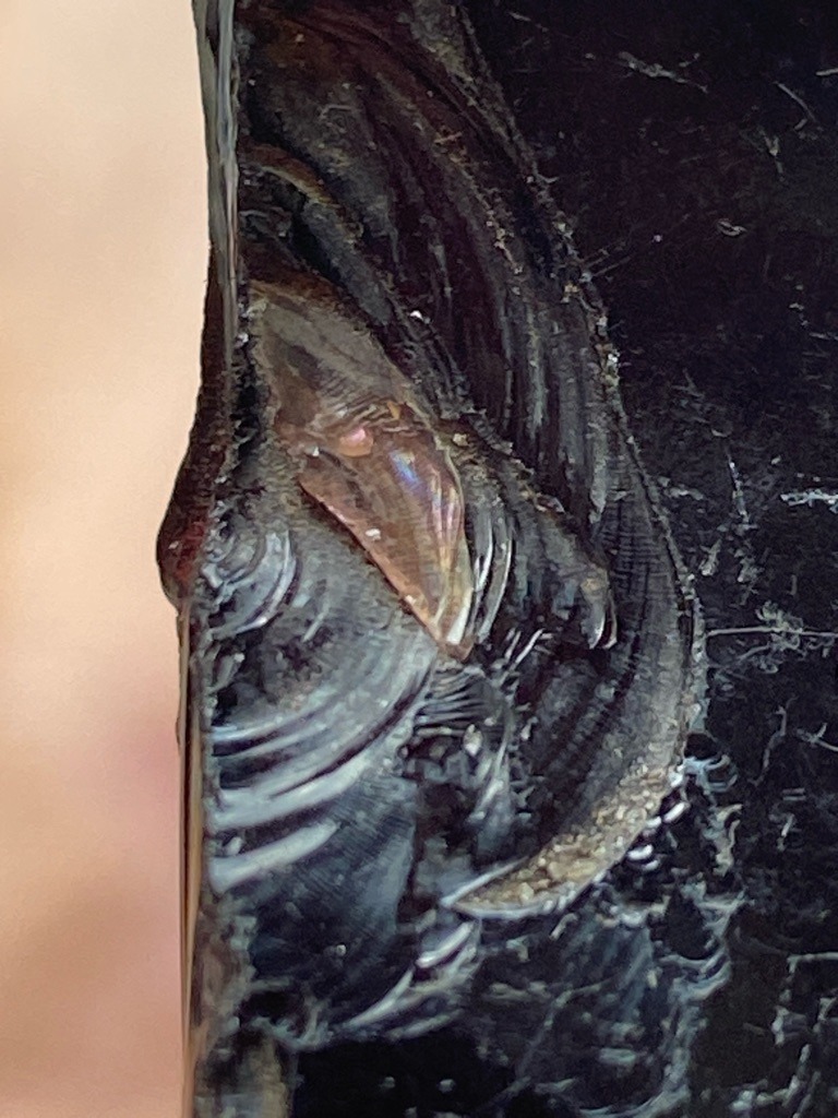 Not a diamond; this is a vitreous material displaying conchoidal fracture, highly characteristic of obsidian, volcanic glass, or industrial slag, rather than crystalline diamond. - Irregular / Raw Concoidal Fragment
