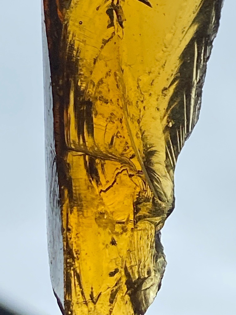 The specimen displayed in the image is not a diamond; it appears to be a natural amber resin or a similar organic gemstone / mineral slice with distinctive flow lines and a warm golden-brown coloration. - Irregular raw crystal or polished slab / freeform slice rather than a standard faceted diamond cut.