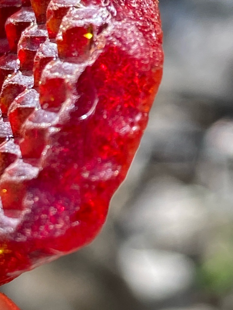 Not a diamond; appears to be a natural mineral cluster, likely Pyrope Garnet or a similar red gemstone aggregate. - Rough crystal aggregate / Irregular crystalline form