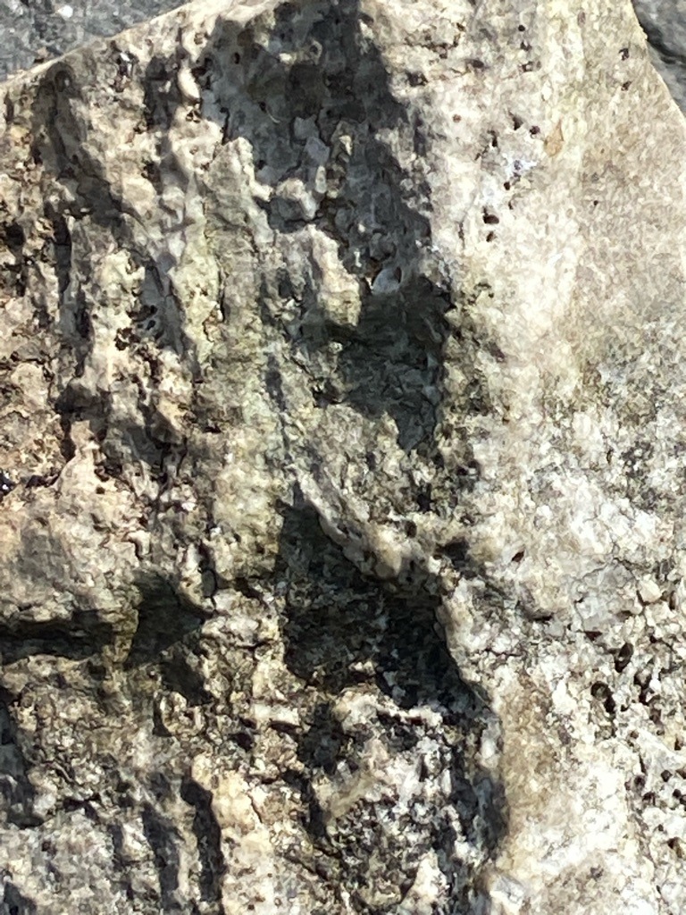 Not a diamond (appears to be raw matrix rock or kimberlite host rock with no cut diamond visible) - Rough / Uncut / Matrix rock