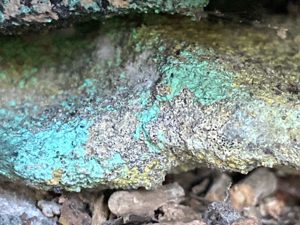 Not a diamond; the image shows mineral encrustations, likely containing copper secondary minerals such as malachite or chrysocolla on a host rock. - Not applicable
