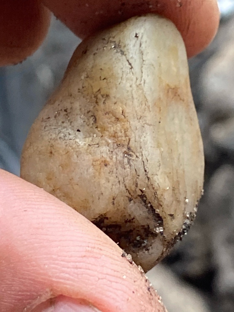 Not a diamond; appears to be a rough quartz pebble, quartzite, or similar silicate mineral with iron staining. - Irregular, water-worn pebble or cobble (uncut rough).