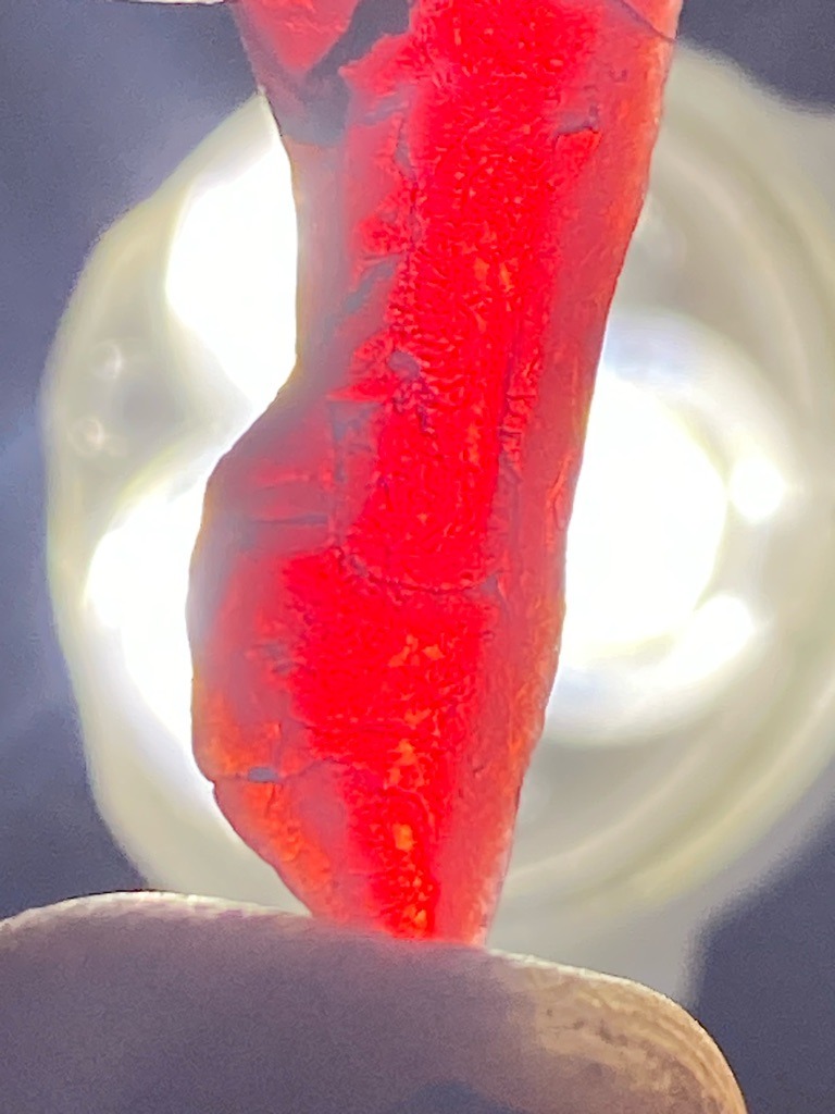 The provided image displays a rough, unprocessed natural material that exhibits strong red luminescence under backlighting, but it is visually characteristic of a rough mineral crystal or coral-like formation rather than a polished diamond rough. It is unlikely to be a natural gem-quality diamond due to its organic or amorphous texture and lack of standard cubic/octahedral crystal habit. - Irregular rough crystal form / Ungraded raw specimen