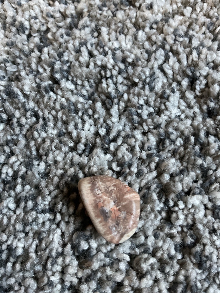 Not a diamond; non-gemstone rock / pebble - Rough / irregular sub-round