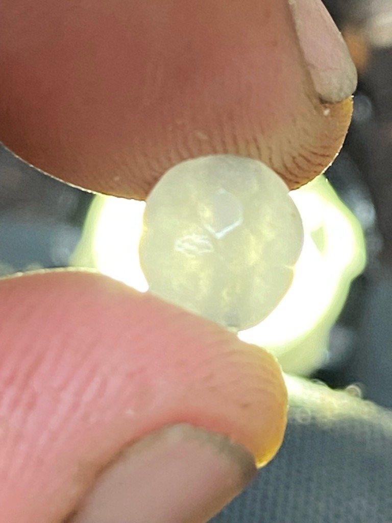 Natural diamond rough crystal, likely bort or industrial/near-gem quality - Uncut natural crystal with rounded octahedral or dodecahedral modification, partially water-worn or etched