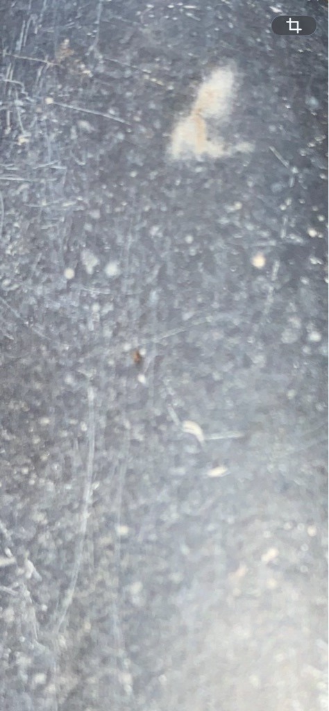 Inconclusive/Non-gemstone - None visible
