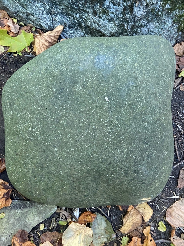 Not a diamond; this is a large boulder or rock, likely a weathered erratic stone embedded in soil and surrounded by leaves. - Irregular / Rounded Natural Boulder
