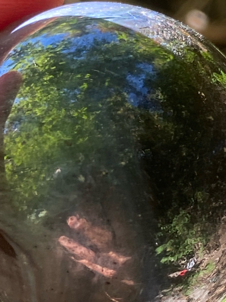Not a diamond; this is a large glass or quartz crystal sphere acting as a lens reflecting an outdoor, foliage-heavy environment. - Spherical / Globe cut