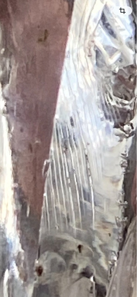 Unable to determine definitely from the provided image, as the visual data is heavily abstracted and shows indistinct textures and patterns rather than a clear gemstone. - Unclear / Undetermined