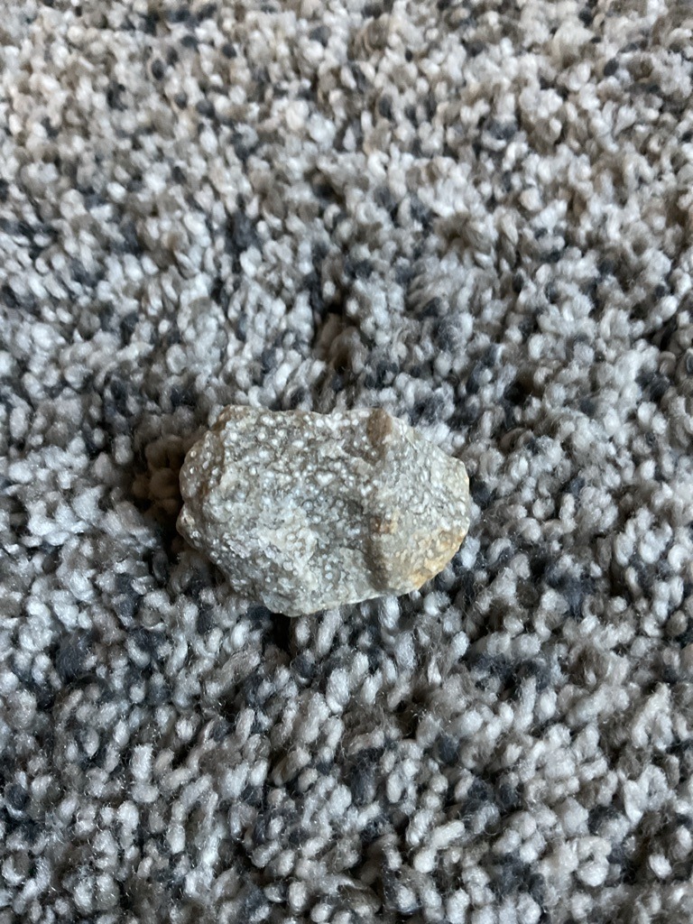 Non-Diamond / Fossilized Coral - Irregular Rough