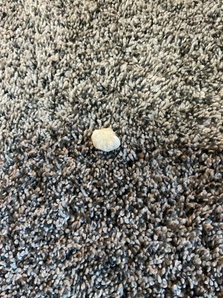 Possibly Quartz or common rock fragment (Inconclusive) - Rough / Uncut (Natural asymmetric pebble)
