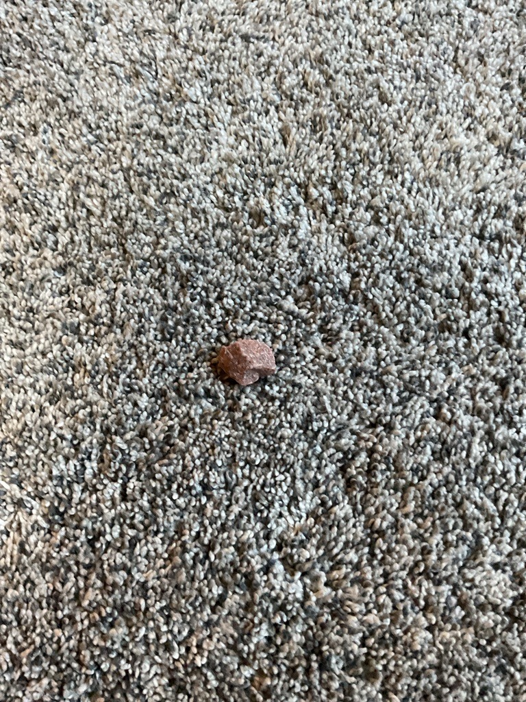 Non-diamond (Likely Granite or Gravel) - Rough/Irregular
