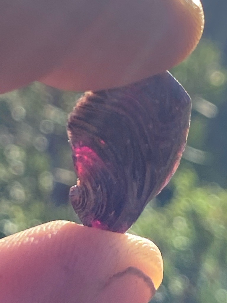 Not a diamond; appears to be a natural rough garnet or colored gemstone crystal with distinct conchoidal fracture patterns. - Rough uncut crystal / irregular pebble form.
