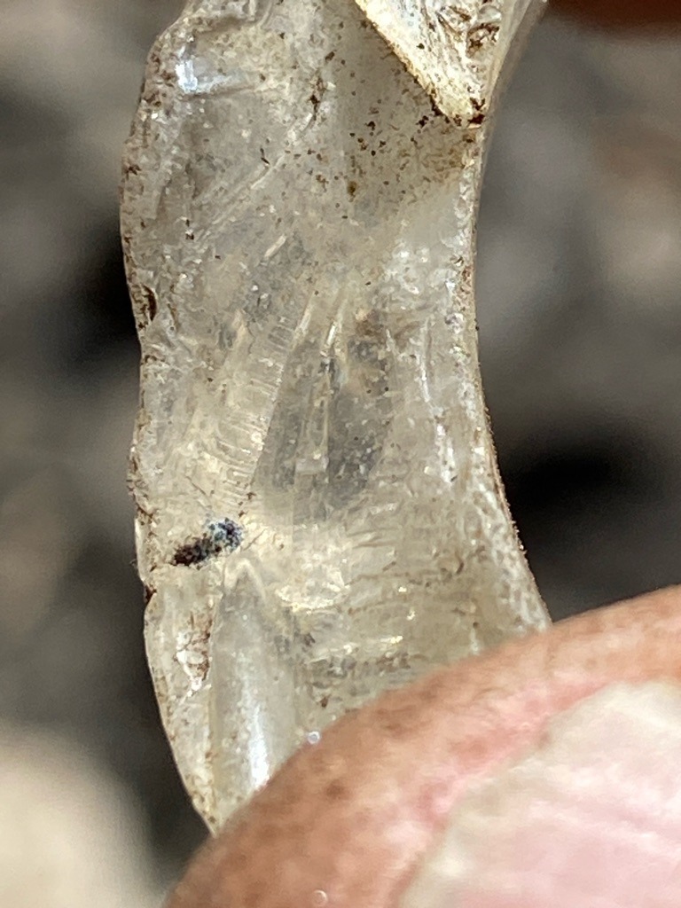 Rough natural diamond crystal (uncut, unpolished octahedral fragment or curved-face crystal typical of alluvial/uncut forms) - Raw crystal / Irregular rough fragment