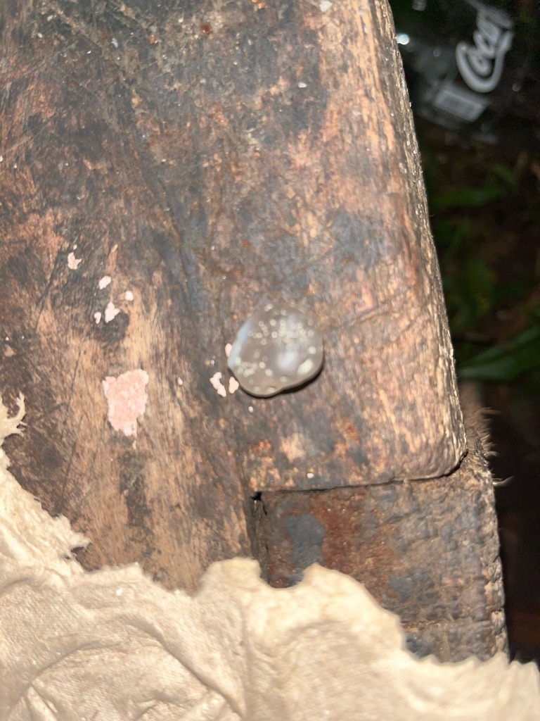 Not a diamond (likely quartz, agate, or a resin/glass droplet) - Irregular / Raw pebble shape