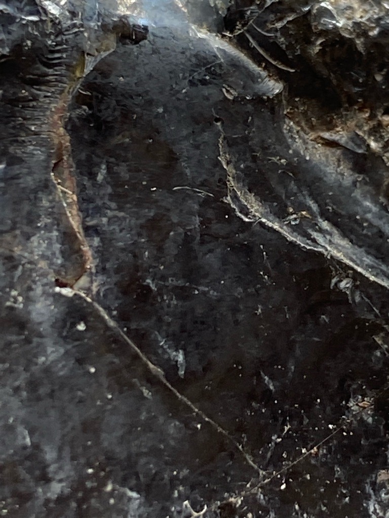 Unable to determine definitely from the image provided, appears to be an uncut rough mineral matrix or stone rather than a polished gemstone. - Rough / Untreated raw matrix