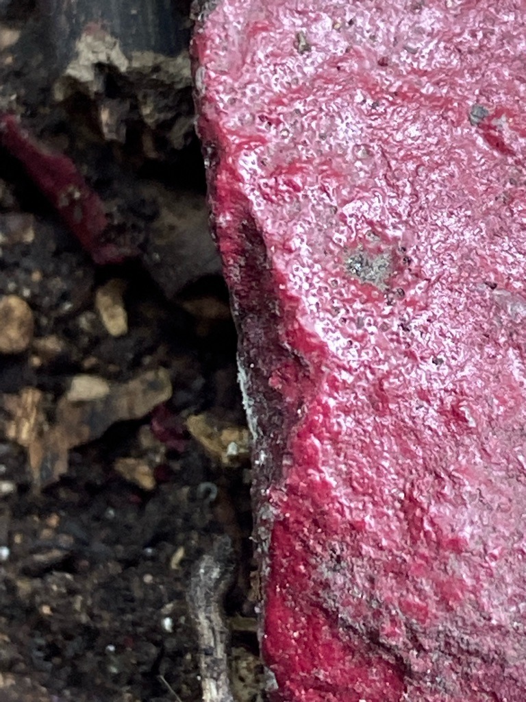 Not a diamond; the image shows a natural geological formation with a reddish coating, possibly weathered rock or soil matrix. - N/A