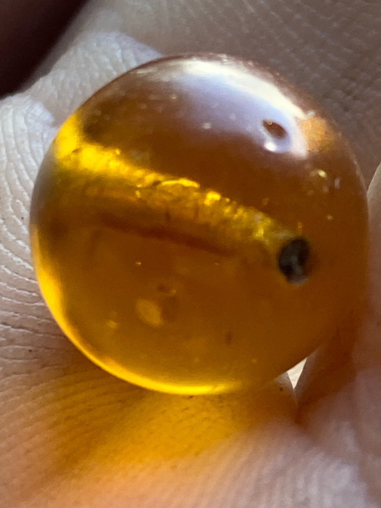 Not a diamond; this is a piece of amber containing fossilized inclusions, likely tree resin. - Cabochon (spherical or rounded freeform bead)