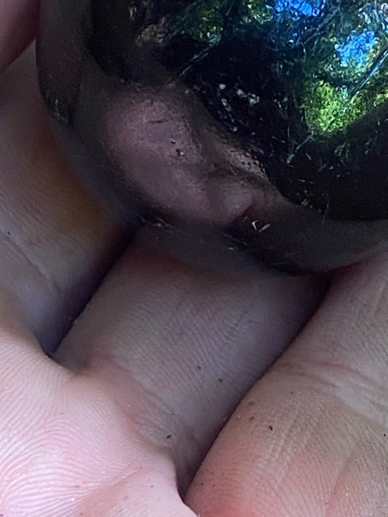Not a diamond; appears to be a rounded mineral aggregate, glass, or non-gemstone material - Rough / Irregular Sphere or Pebble