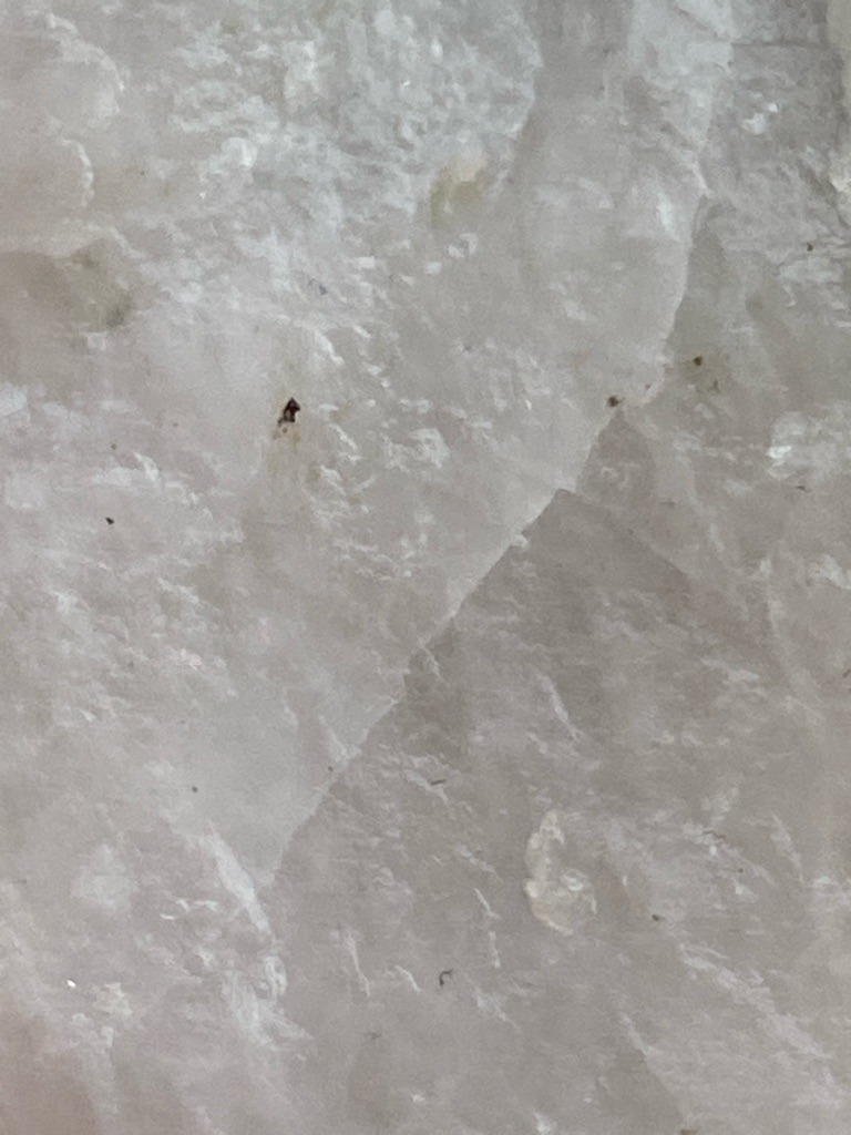 The provided image does not display a cut and polished diamond, but rather appears to be a close-up macro view of rough mineral matrix or aggregate, likely quartz or quartzite rather than crystallized diamond rough. - Uncut or raw crystalline structure, not applicable for a traditional cut shape.