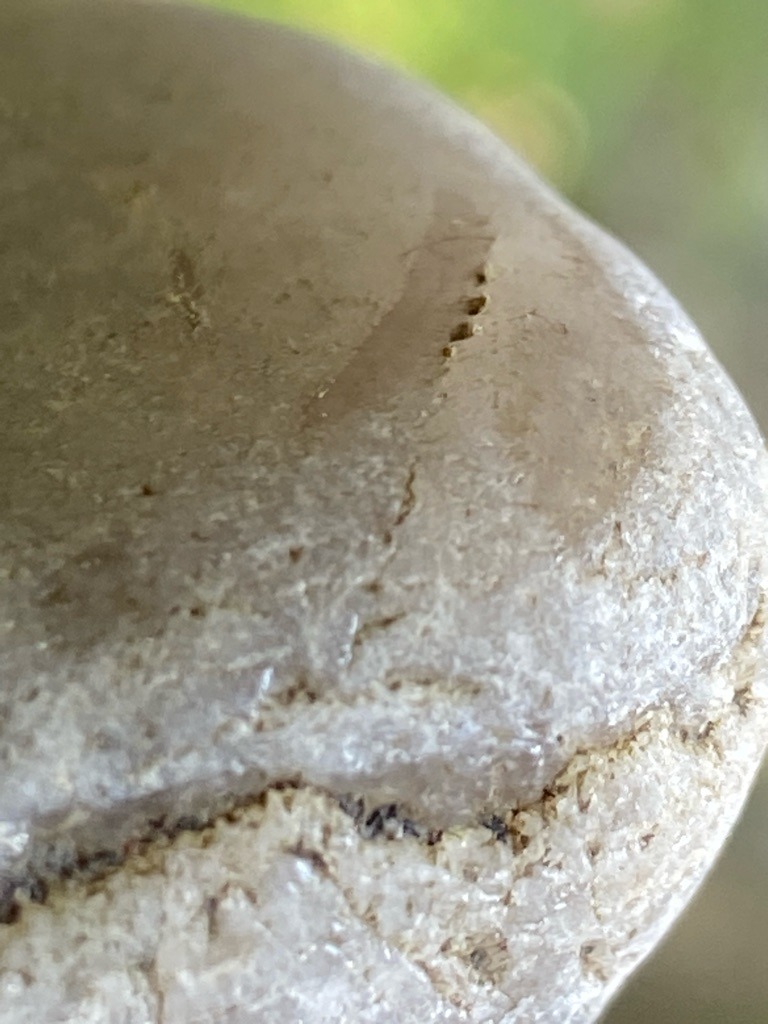 Not a diamond (appears to be a water-worn quartz pebble or quartzite rock) - Irregular / Rounded water-worn pebble