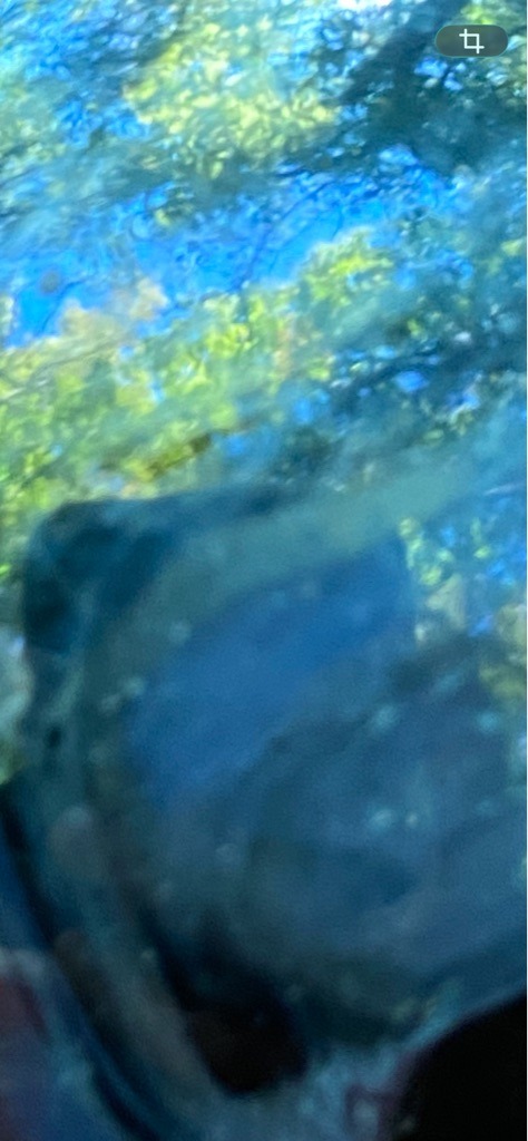 Unable to determine accurately from the provided image due to extreme blur and lighting distortion. - Indeterminate / Irregular shape due to photographic blur and environmental reflection.
