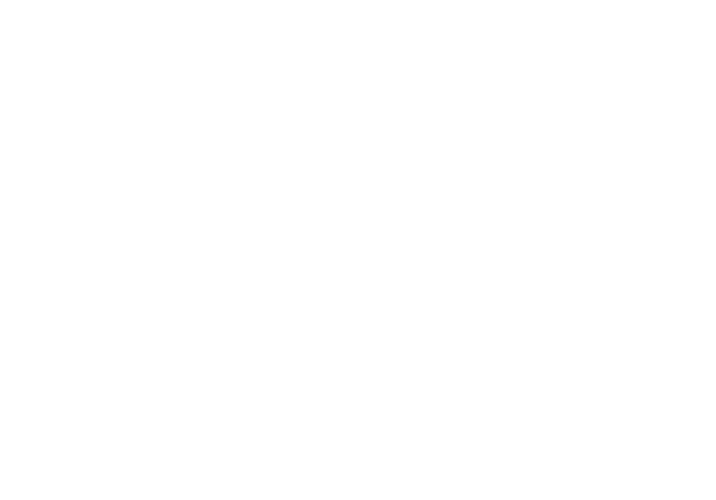 Disco Presents