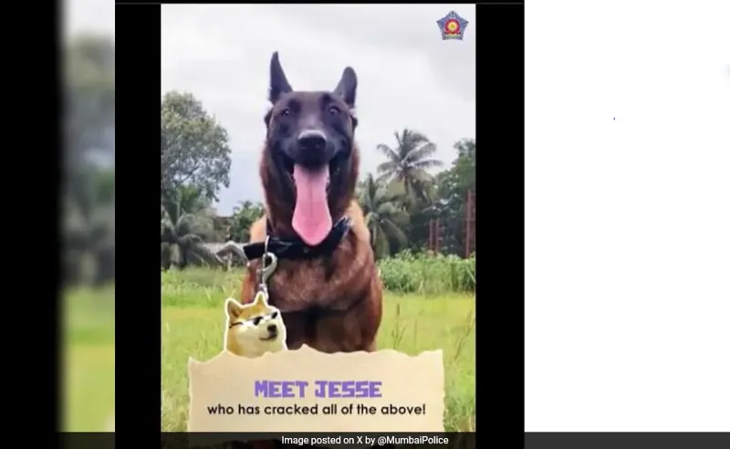 Mumbai Police ka Naya Dost: Crime Solve Karne Wala Dog!