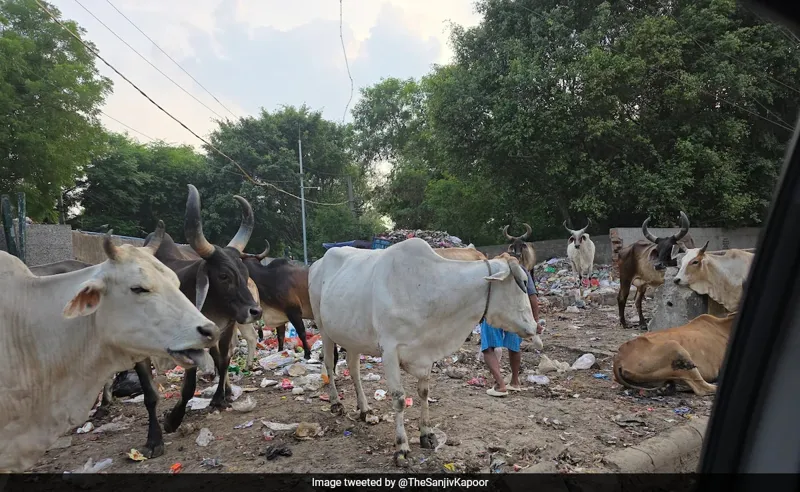 Gurugram Gandagi: Former Jet Airways CEO ne Uthai Aawaz!