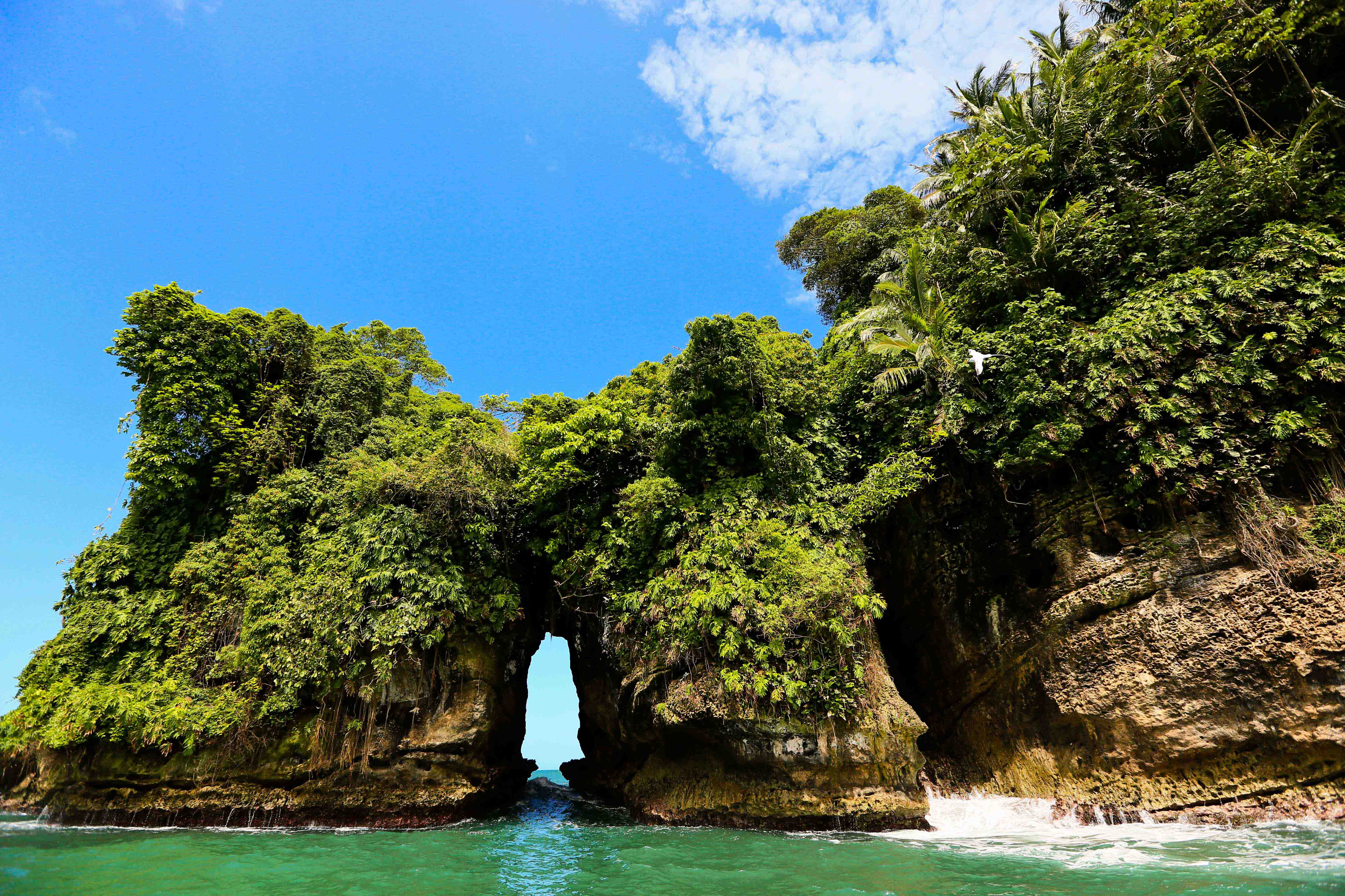 No ar o Guia de Bocas del Toro! O animado Caribe panamenho!