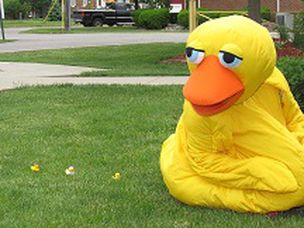 Great Hospice Duck Race tickets on sale soon | News | WTVB