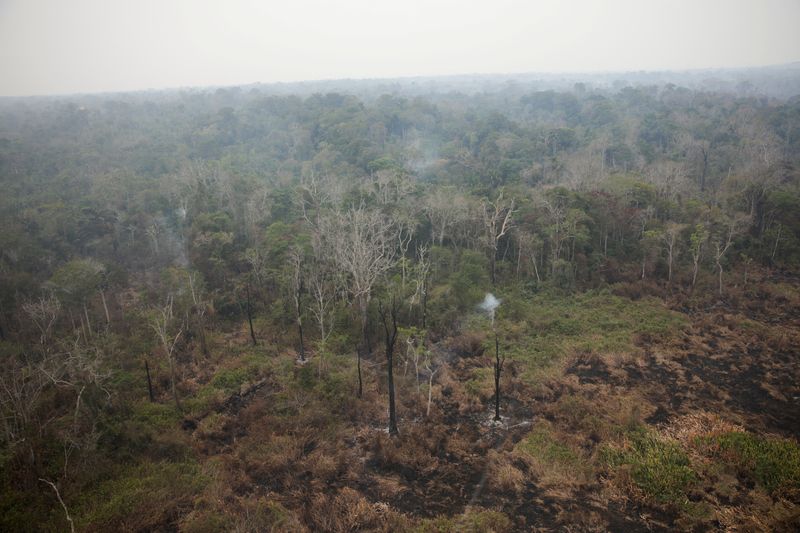 Incêndios na Amazônia brasileira começarão em 2024, combate a incêndios cortes no orçamento